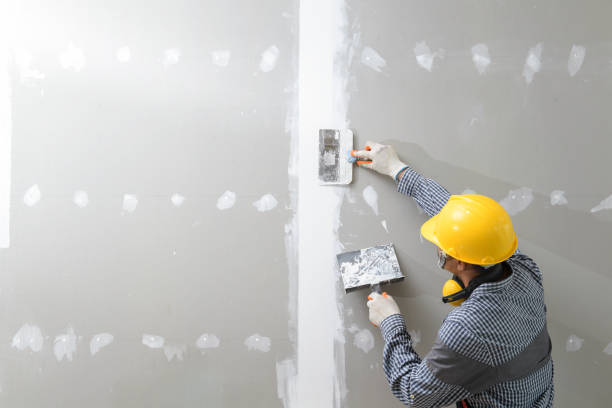 Professional Painting & Drywall Installation in Des Arc, AR